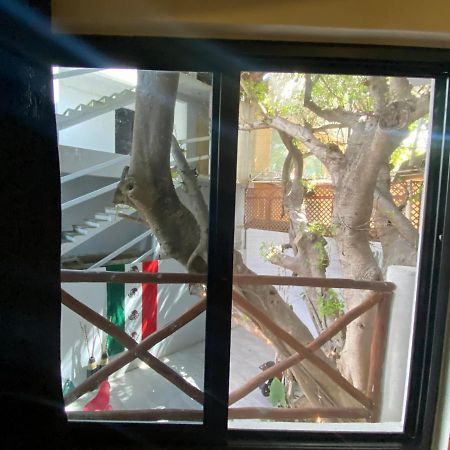 Why Not Rooftop Party Hostel Playa del Carmen Exterior foto